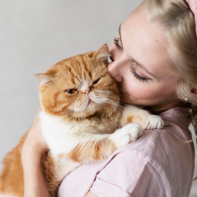 close up image of a cat with a parent girl