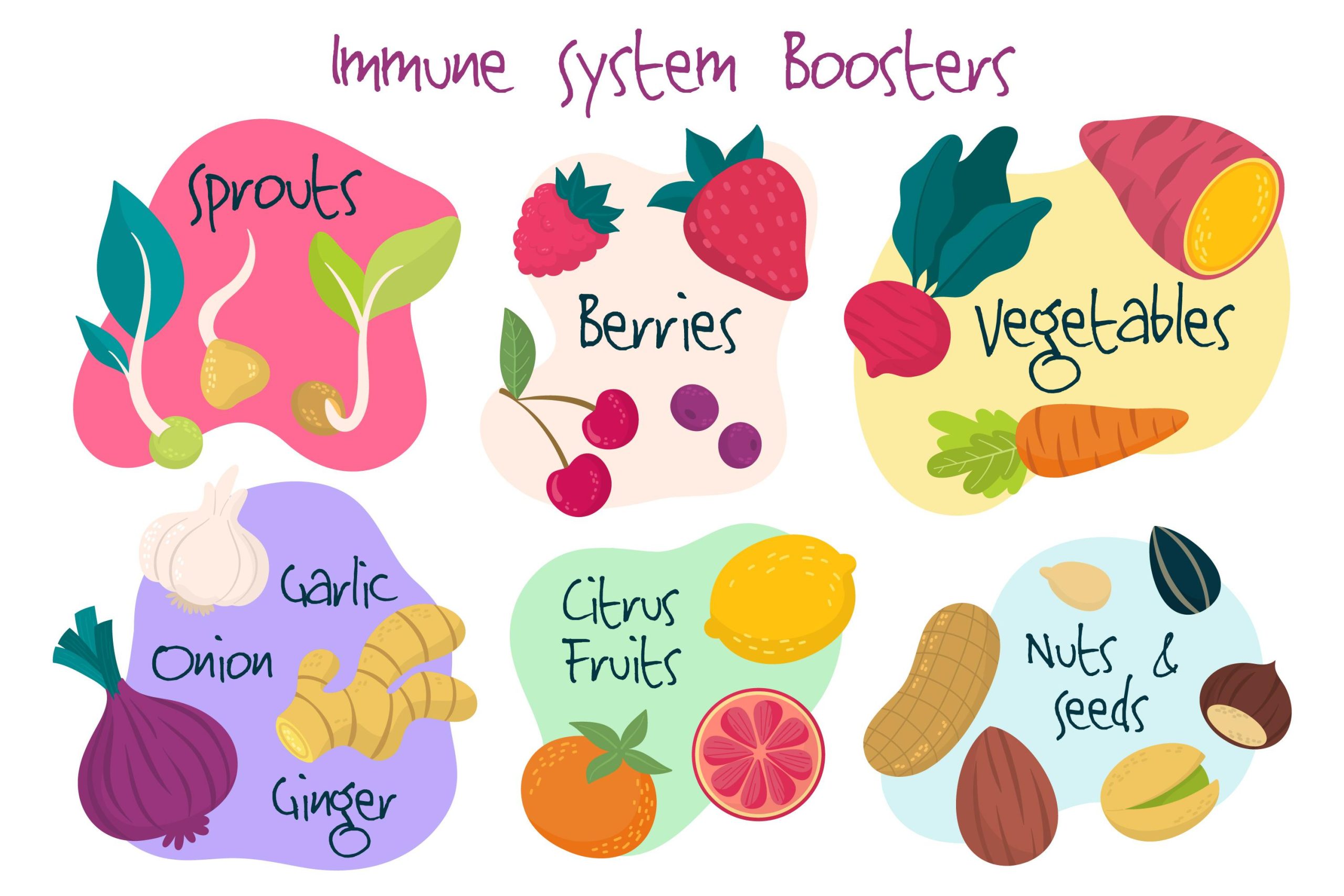 6 healthy foods boost immune system