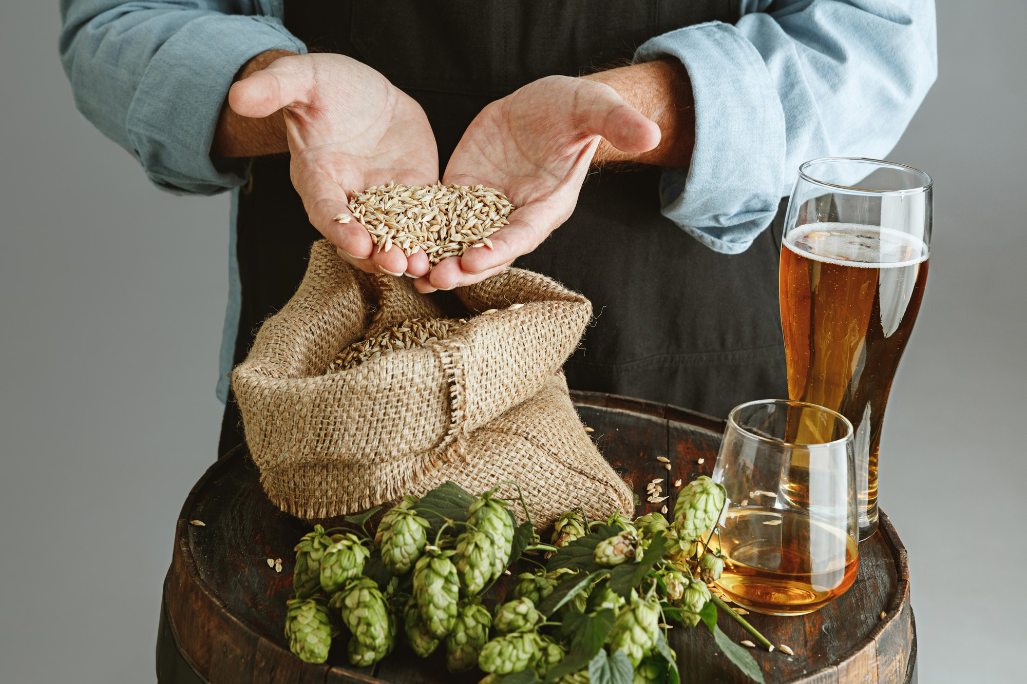 Brewery Essentials and How Much Does It Cost to Start a Brewery?